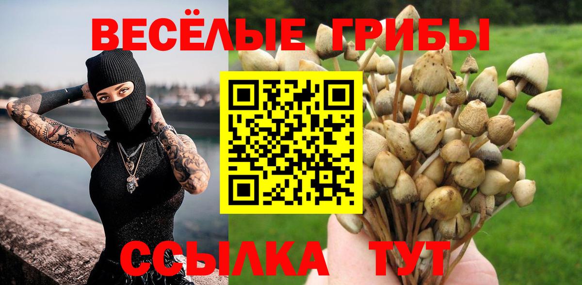 МЕТАМФЕТАМИН Северск